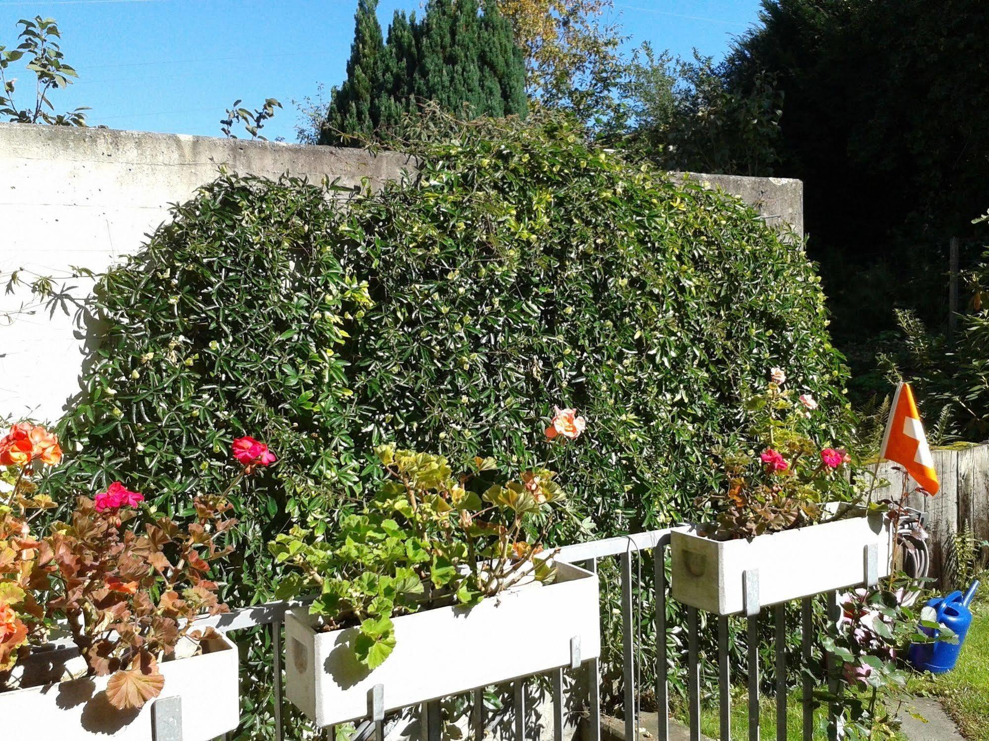 Mybednbreakfast In Bottmingen Acomodação com café da manhã Exterior foto